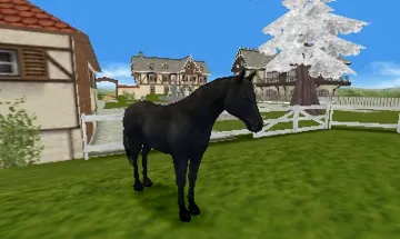 Life with Horses 3D(Europe)(En,Fr,De,Es,It,Nl) screen shot game playing